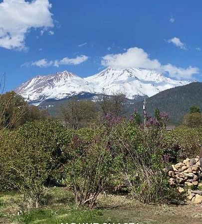 Angel Cottage With A Sauna Or The Cozy With A Jacuzzi Tub, Both Are Studios With A View Of 夏斯塔山 外观 照片