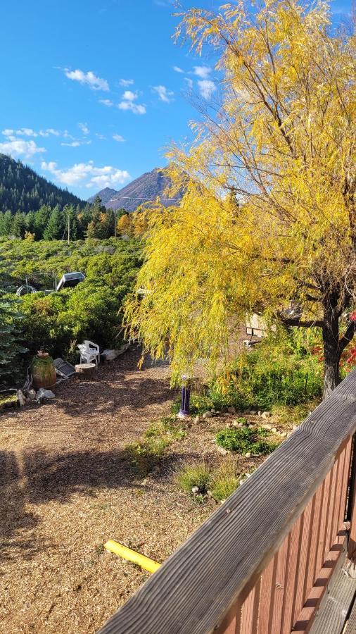 Angel Cottage With A Sauna Or The Cozy With A Jacuzzi Tub, Both Are Studios With A View Of 夏斯塔山 外观 照片