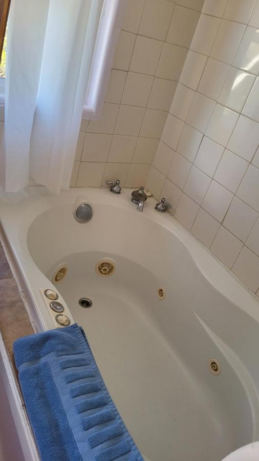 Angel Cottage With A Sauna Or The Cozy With A Jacuzzi Tub, Both Are Studios With A View Of 夏斯塔山 外观 照片