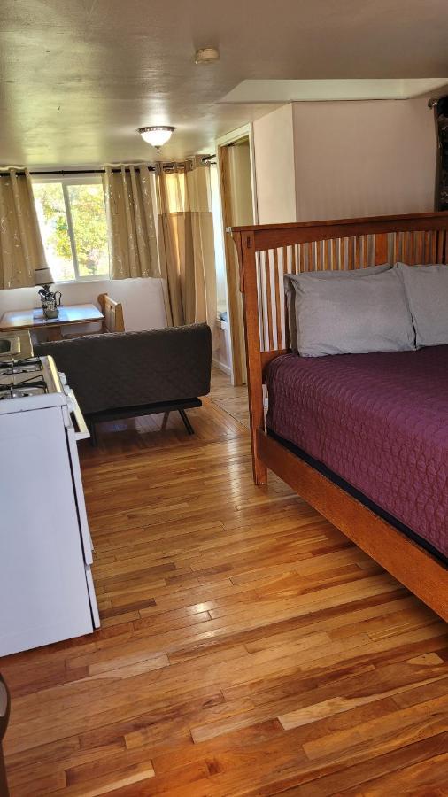 Angel Cottage With A Sauna Or The Cozy With A Jacuzzi Tub, Both Are Studios With A View Of 夏斯塔山 外观 照片