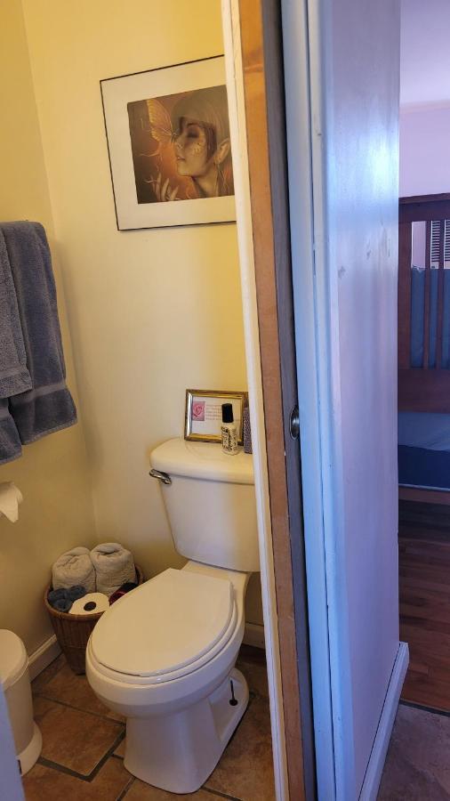 Angel Cottage With A Sauna Or The Cozy With A Jacuzzi Tub, Both Are Studios With A View Of 夏斯塔山 外观 照片